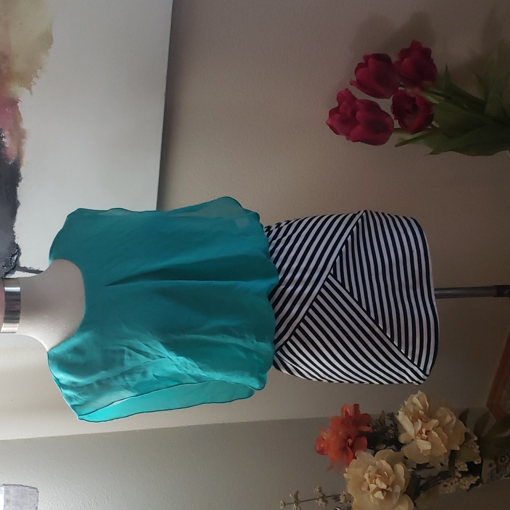 Lots of Love dress size 14 jr.